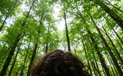 Forest Therapy PDX