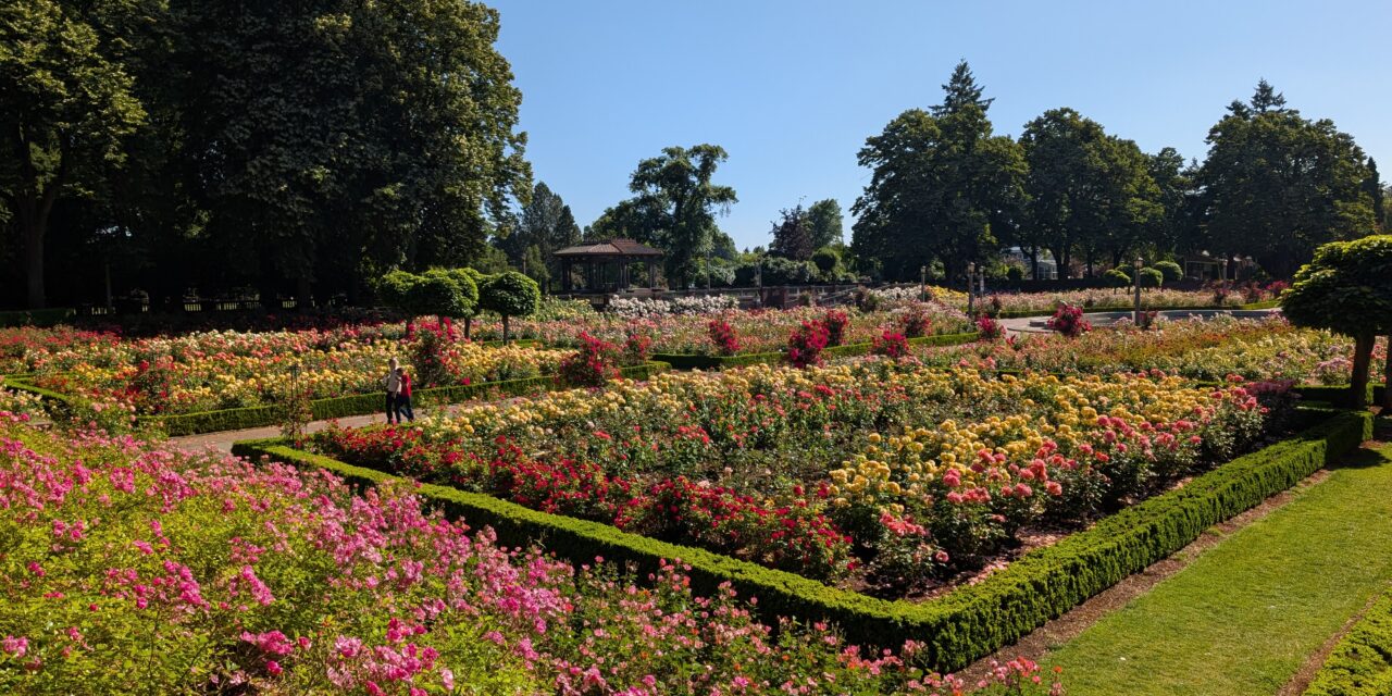 Discovering Tranquility at Peninsula Park