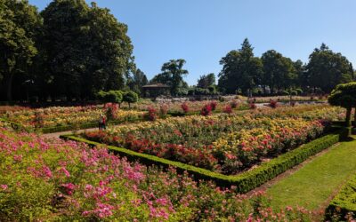 Discovering Tranquility at Peninsula Park