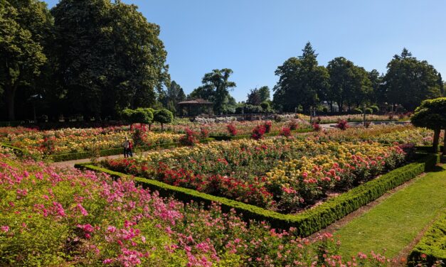 Discovering Tranquility at Peninsula Park
